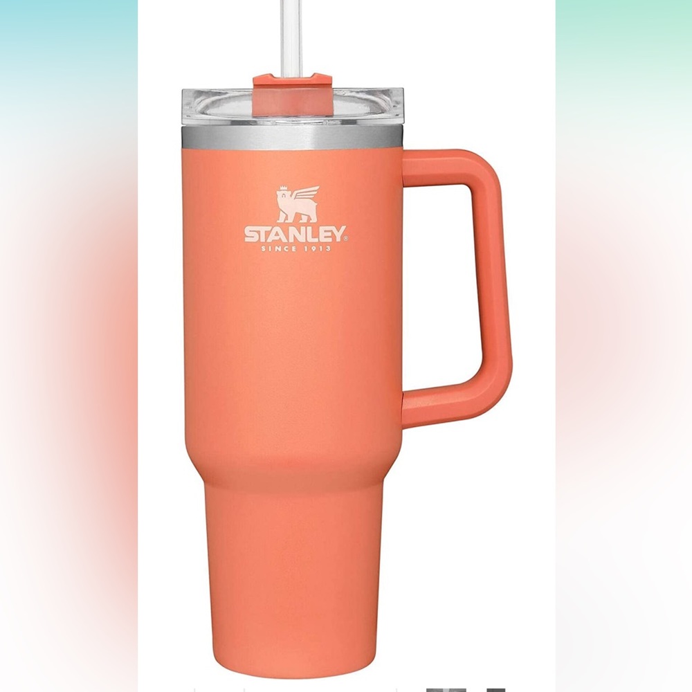 COPY - grapefruit stanley 40oz cup